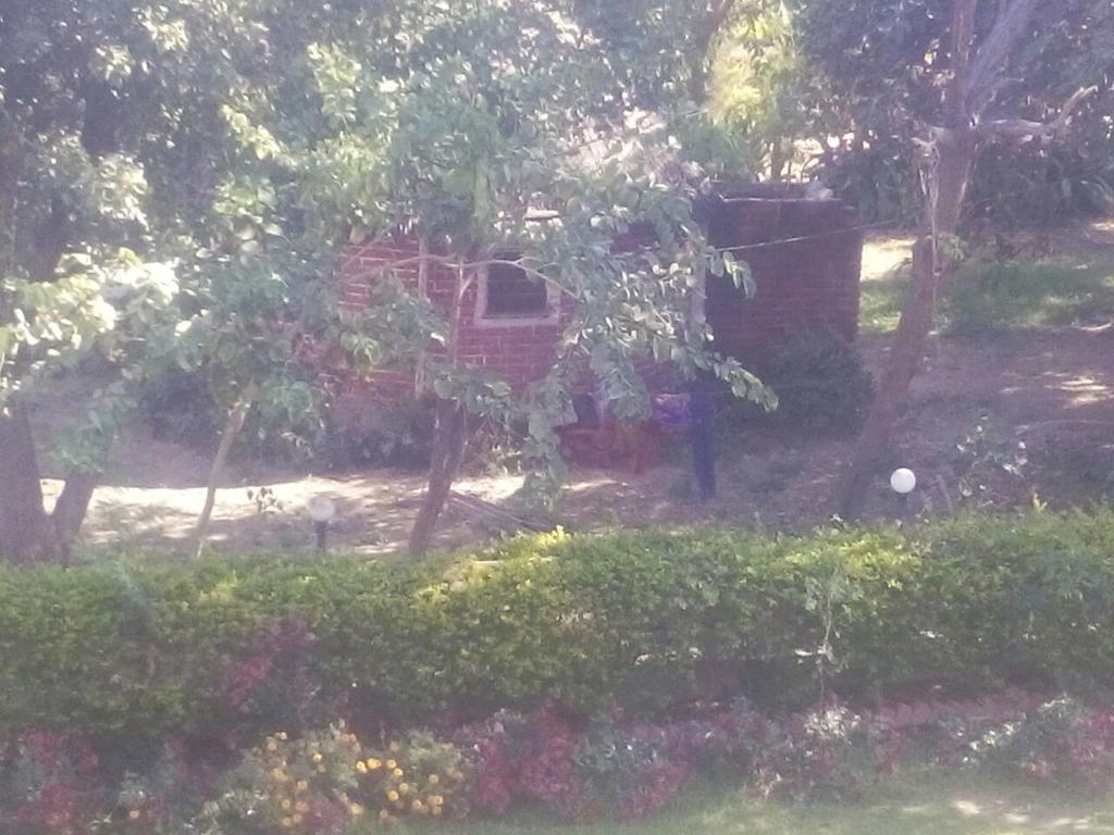 Rishi Valley Resort Farmstay Pushkar Exterior foto
